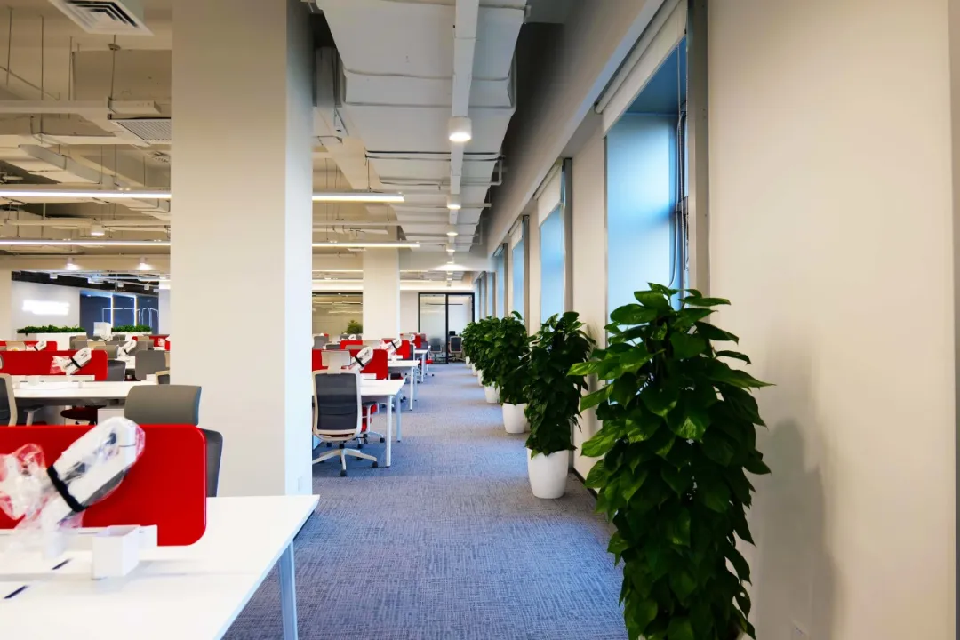 1716171146950 1716171146950